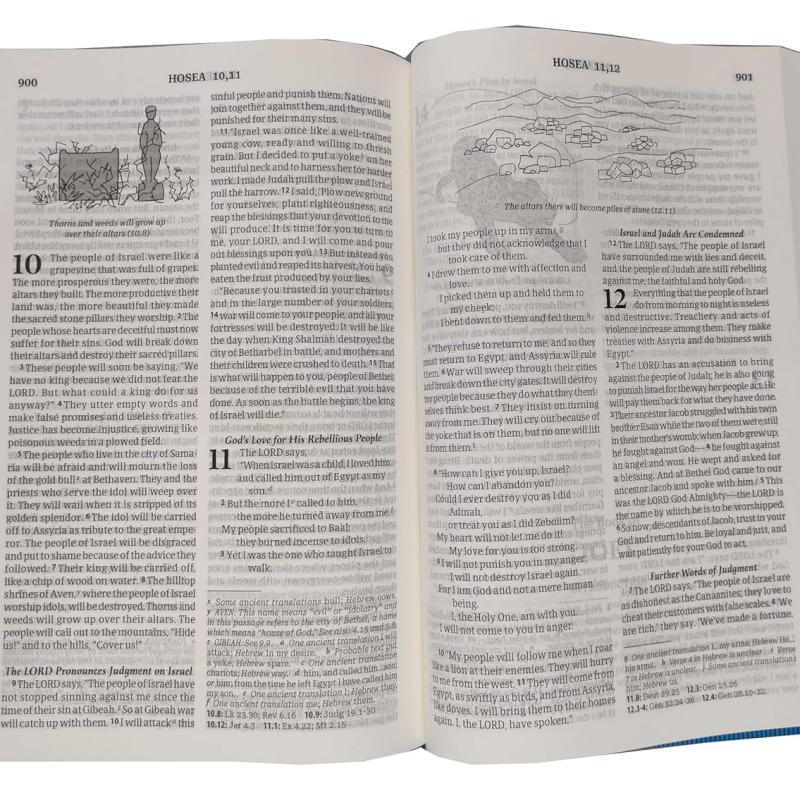 Good News Bible (GNB) Today's English Version Hb (Blue) Illustration/Index Regular Size 2024 Contains Old and Testament BSI Imitation Leather – 30 December 2023
